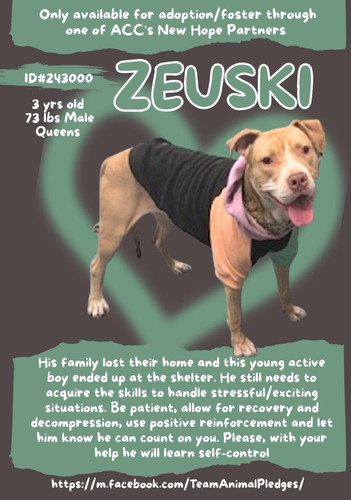 G8ODpEeXYAEY fr?format=jpg.jpg