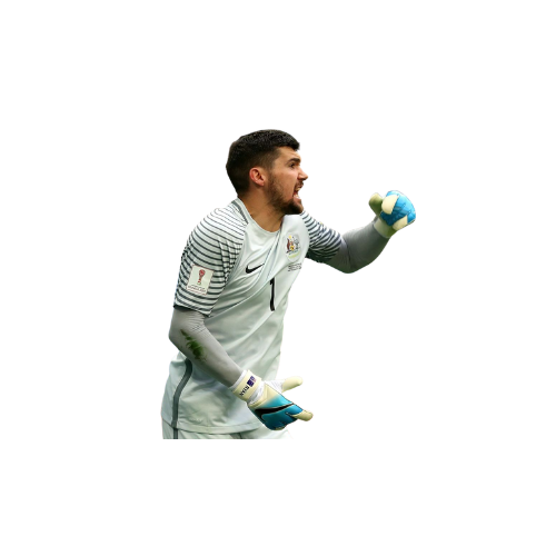 Australia Mathew Ryan.png