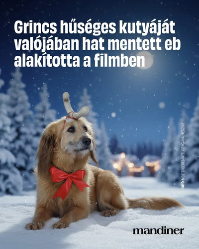 602324699 1368472781958067 8111560315107039957 n.jpg?stp=dst jpg s640x640 tt6& nc cat=100&ccb=1 7& n.jpg