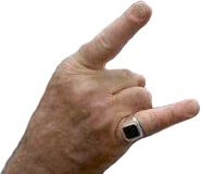 IMG 7978.png