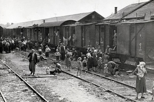 603966192 1238371154773583 8647272353725485319 n.jpg?stp=dst jpg p180x540 tt6& nc cat=111&ccb=1 7& n.jpg