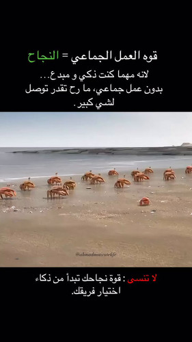 rIiU NMEhIIIwisc.jpg