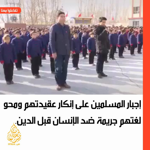 GBzYkfy17yA7NtWa.jpg