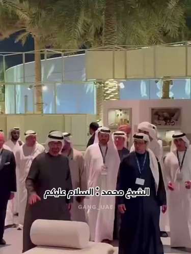 9QlwKBJpJ6 Ihqgt.jpg