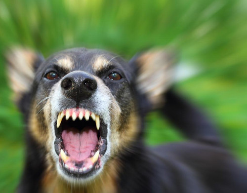 CREATOR: gd-jpeg v1.0 (using IJG JPEG v62), quality = 75.jpg