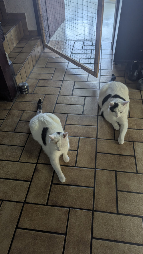 1d50b9e9 1fd9 4c96 998e 70f4af617f70 1 all 42367.jpg