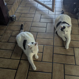 1d50b9e9 1fd9 4c96 998e 70f4af617f70 1 all 42367