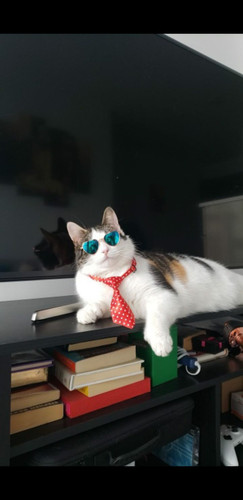 605298977 852888067532740 2059637847446450890 n.jpg