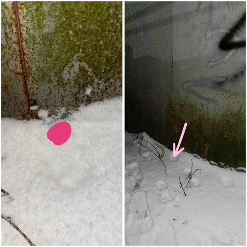 F15D8D73 F46E 41BA A097 481E7D61F2FB.jpg