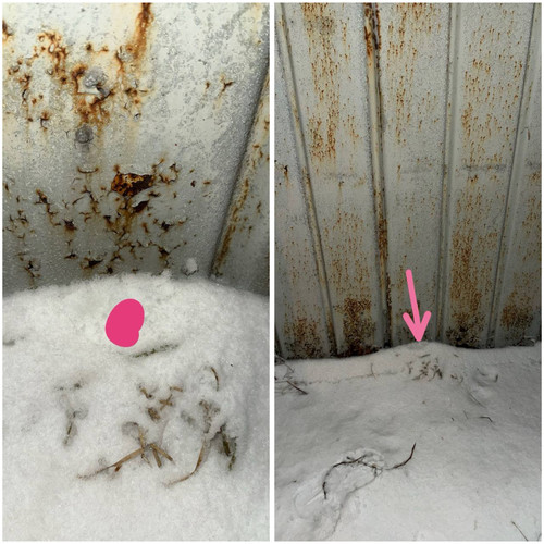 5E287895 F2CC 4CBD 9221 A5937B653C2A.jpg