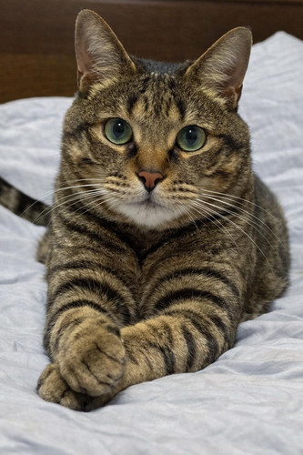 603762903 851493271070810 8899471978497416302 n.jpg