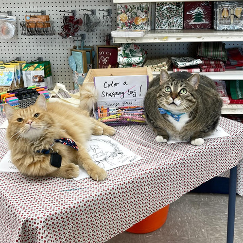 604673287 18523485841065793 1469381646428248767 n.jpg