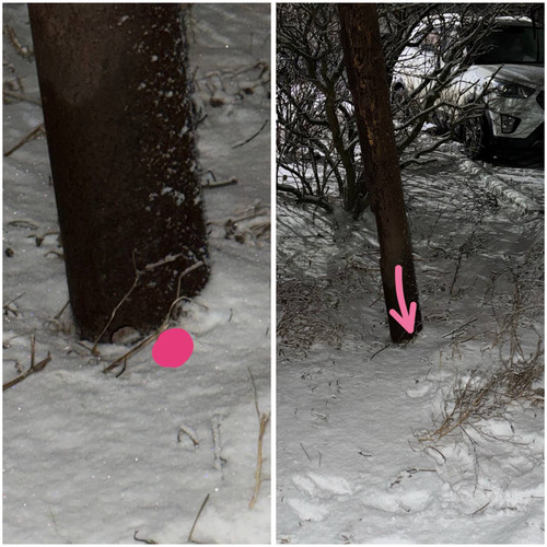 100F1E50 706A 43AB B753 935A8B012573.jpg