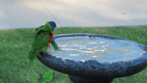 G 3pna CVBFa evP.jpg