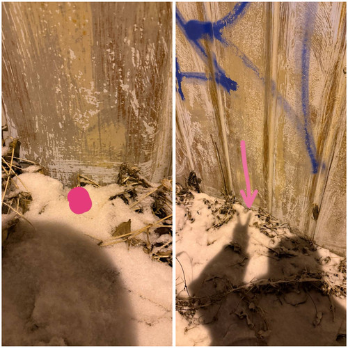 AE8B60C0 0117 4DF5 B858 76EAF19E17D8.jpg