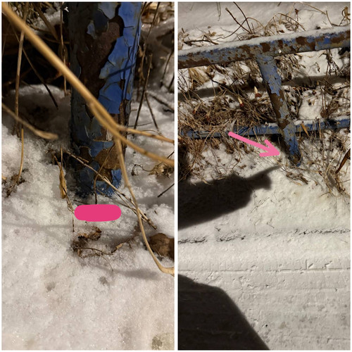 30CFCB5B 01B9 417F A50D 73E1D895840B.jpg