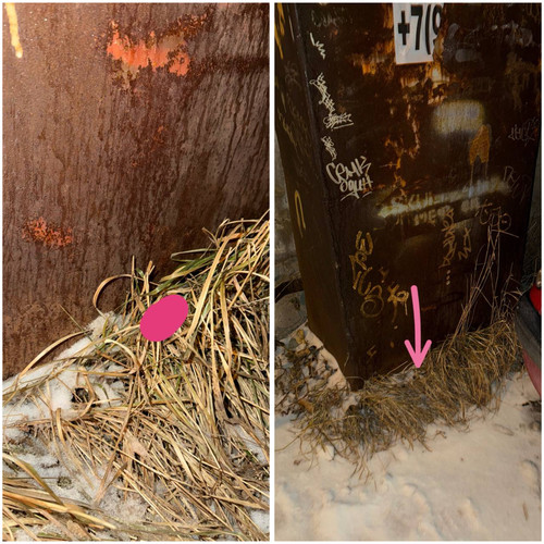 6D8E8234 76FF 4B9A 9492 73B6AC18F91C.jpg