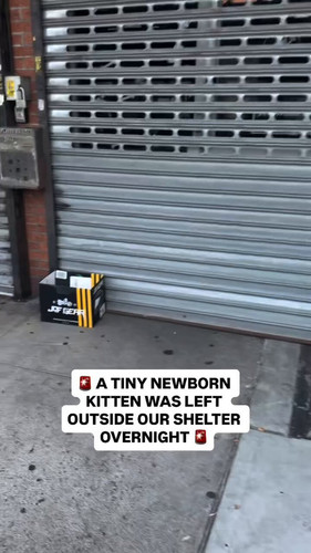 Bcv9R0JiioruQa O.jpg