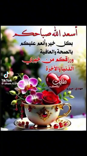 VTPd 5yBYDjS5 Iz.jpg