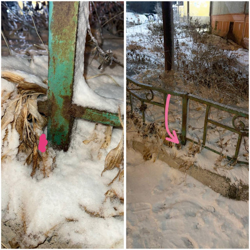 85897BF4 40DD 4B40 ABE7 116BE89A4E7B.jpg