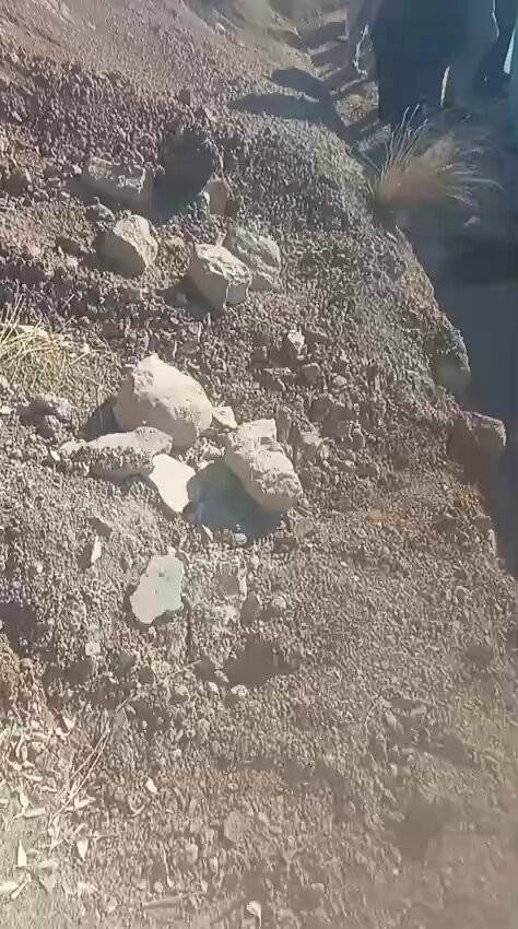 virBo98xn 1zfdR6.jpg