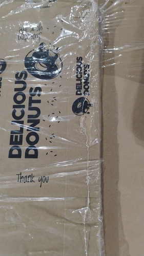 WhatsApp Image 2025 12 24 at 00.26.40.jpg