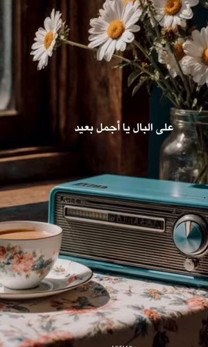 RX803NoRDp LL4ud.jpg