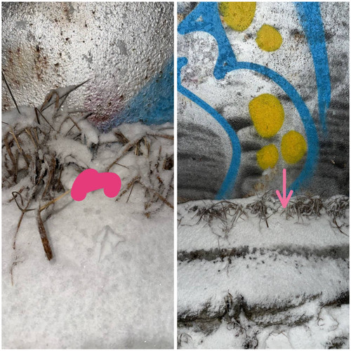 B3F8566B 8CAC 4994 AF31 7EFBEE4D1ABB.jpg