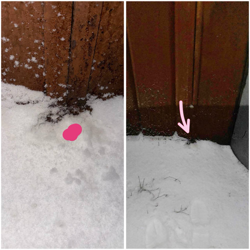 C5C9C950 D946 4EC8 9B1B 9AE9B5E1F7B4.jpg