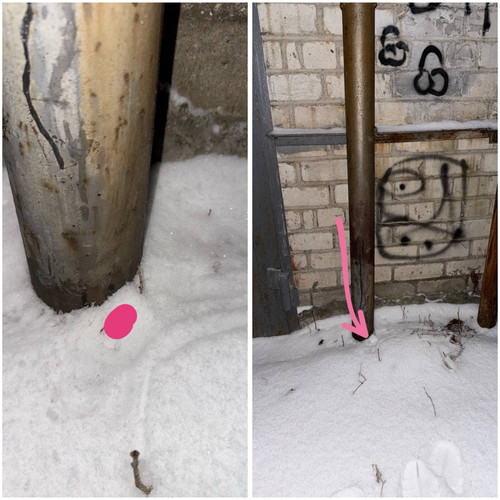 17B44776 C78C 4274 B55C B16FEC9B4A0B.jpg