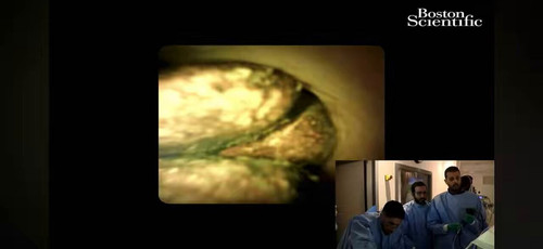 19iskQk2nCPvOMq .jpg