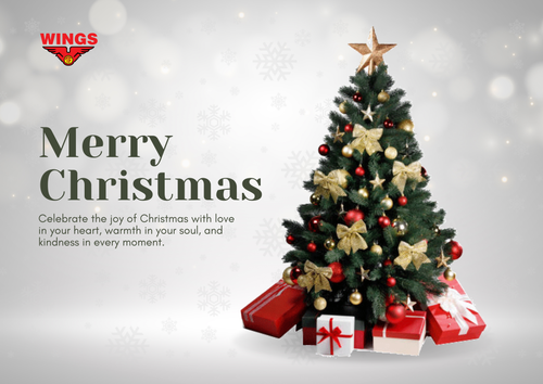 Merry Christmas 2025.png