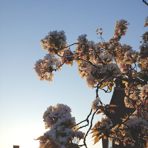 IMG 20200418 123436 688.jpg