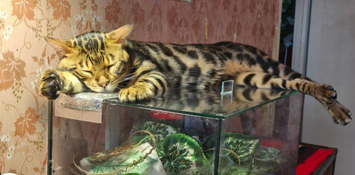 photo 2025 12 23 16 10 05.jpg