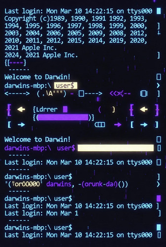 83cf0f07 5464 405d ac1b 6c55d6c5e1d2.jpg