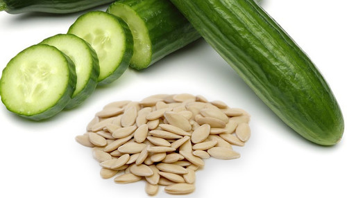 cucumber large long giant xl see.jpg