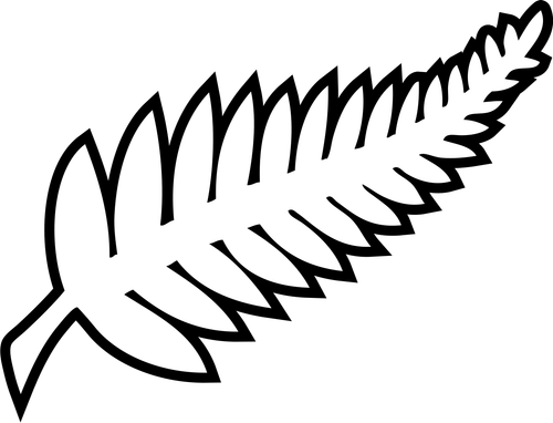 new zealand national team footballlogos org.png