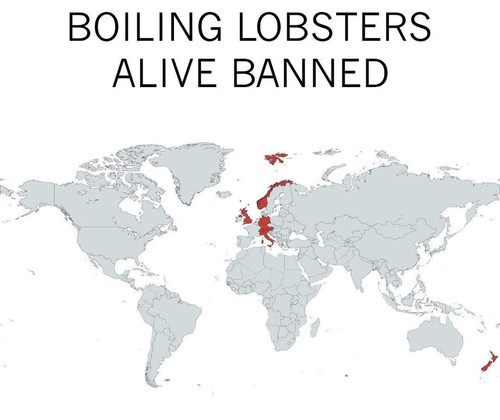 G82N p0XsAAQKNU.jpg