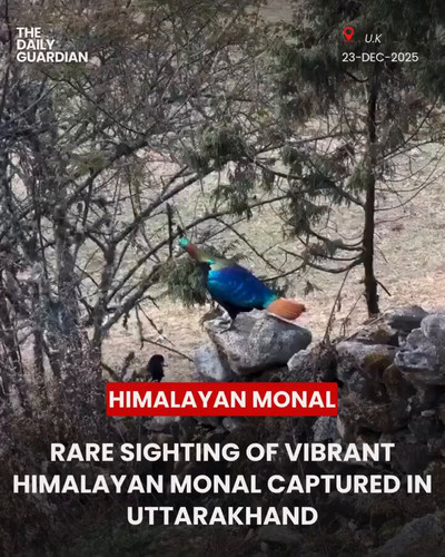 93g9 nwInZcge2en.jpg