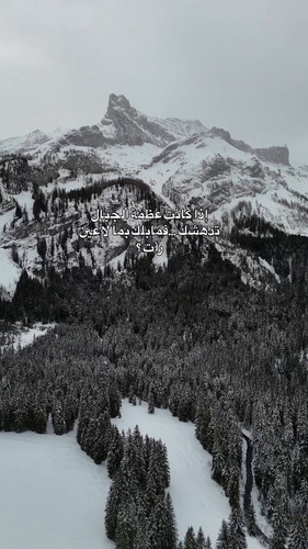 lPcZdsv7y MynKNq.jpg