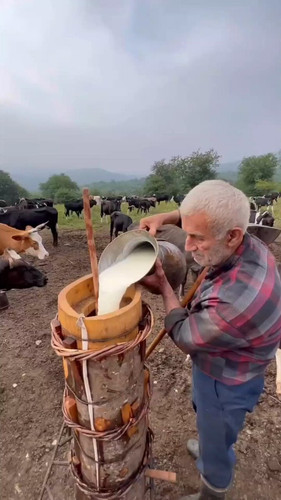 oBWsRn qZB6Mo y2.jpg