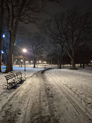 600373045 25461935380104314 1497457890431062447 n.jpg