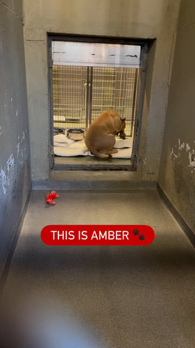 j5DX8sGgdp7i ONC.jpg