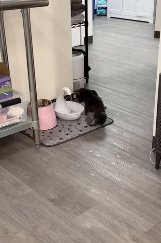 TatdL 0lvH8LzG1 .jpg