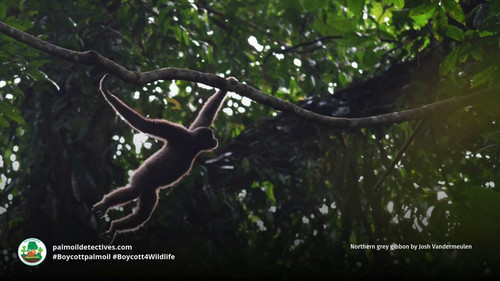 q oECv3fWoyVRxR4.jpg