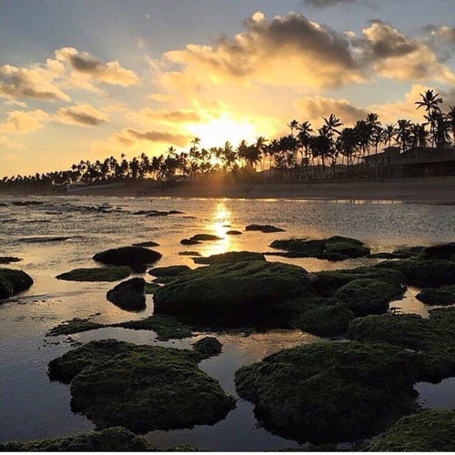 2016 08 26 20 08 56 BJlbQ thjkT.jpg