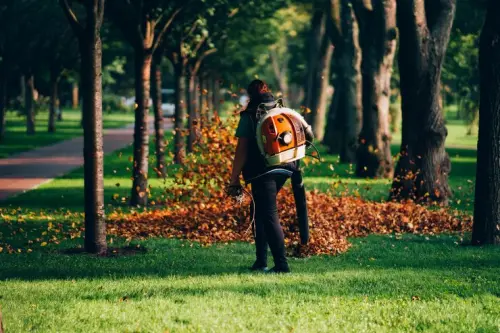 Fall Leaf Cleanup in Overland Park – Get Fast and Professional Seasonal Yard Care.webp