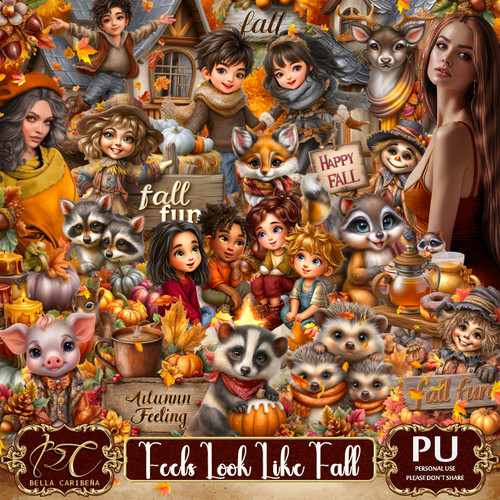 BC FeelsLookLikeFall.jpg