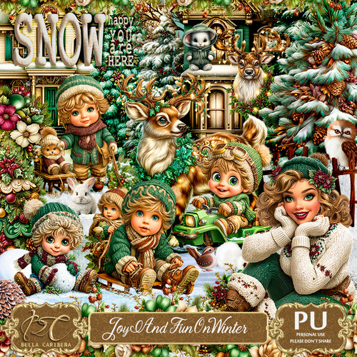 BC JoyAndFunOnWinter.jpg