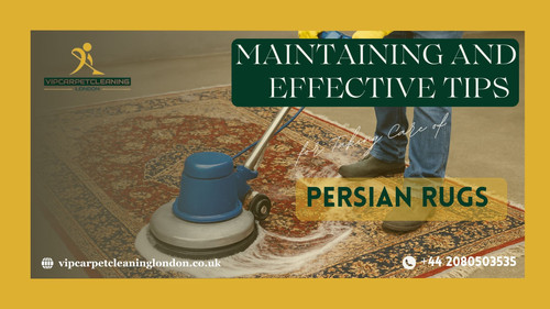 Maintaining and Effective Tips for Taking Care of Persian Rugs.jpg